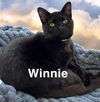 Winnie