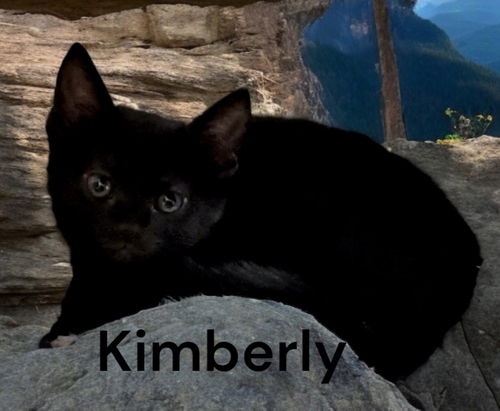 Kimberly
