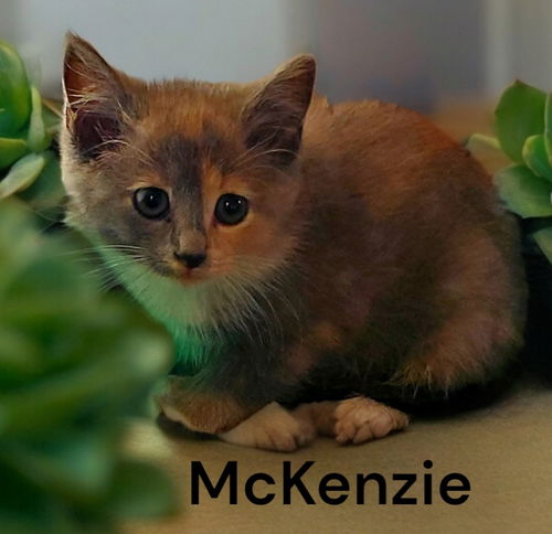 McKenzie