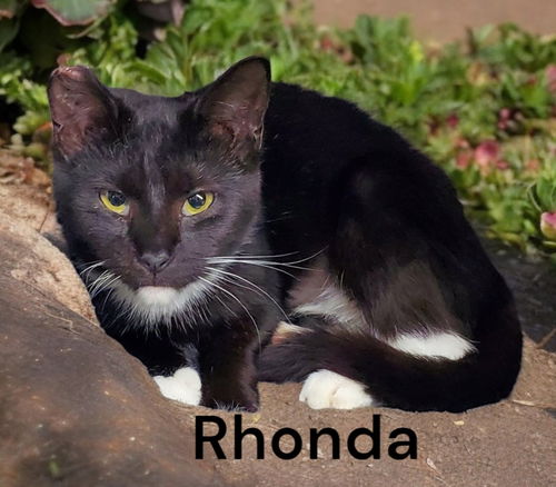 Rhonda