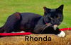 Rhonda