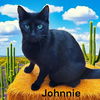 Johnnie