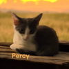 Percy