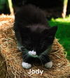 Jody
