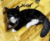 Jody