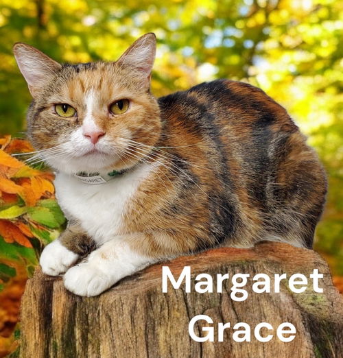 MG (Margaret Grace)