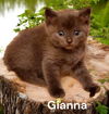 Gianna