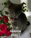 Gianna