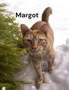 Margot