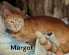 Margot