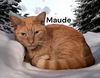 Maude