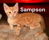 Sampson