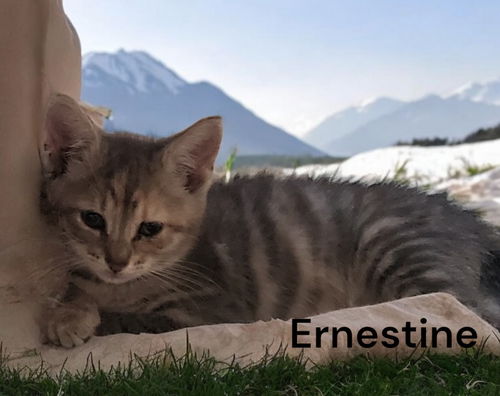 Ernestine