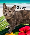 Gaby