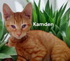 Kamden