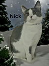 Nick