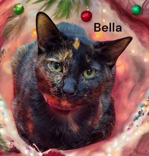 Bella