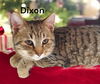 Dixon