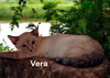 Vera