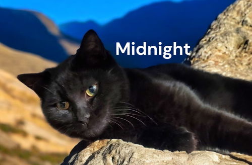 Midnight
