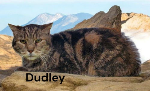 Dudley