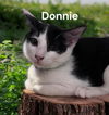 Donnie