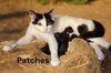 Patches
