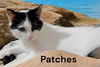 Patches