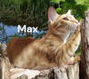 Max