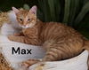 Max
