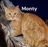 Monty