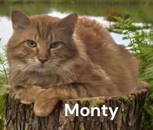 Monty