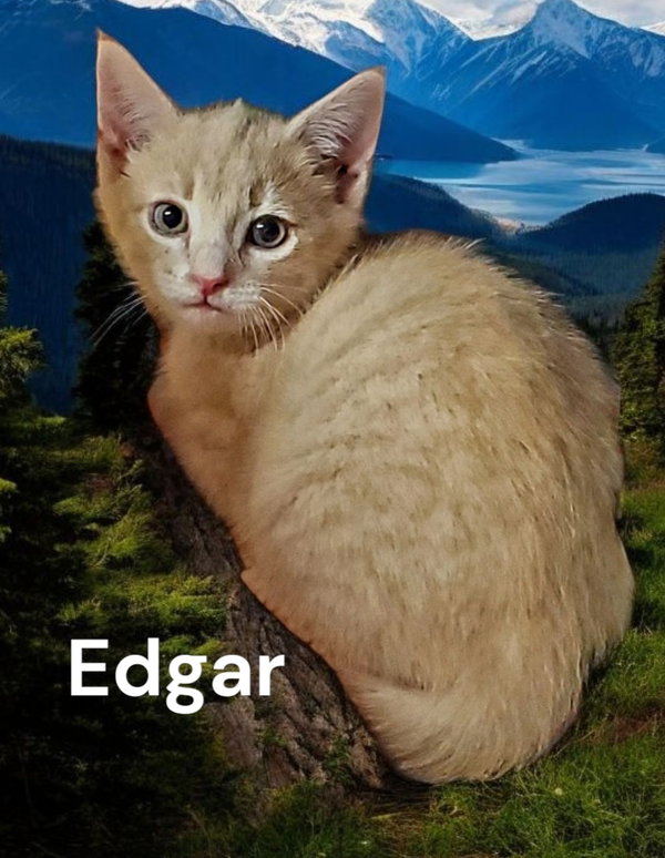 Edgar