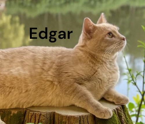 Edgar