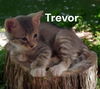 Trevor