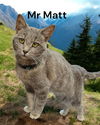 Mr Matt