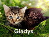 Gladys