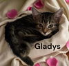Gladys