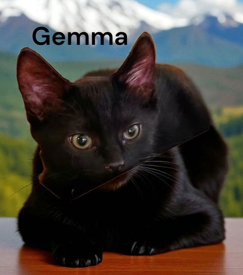 Gemma