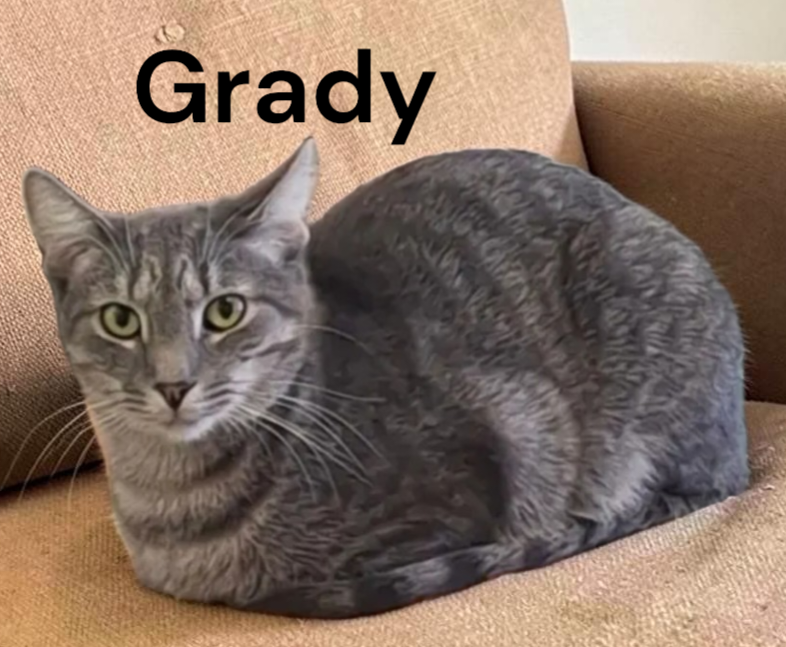 Grady