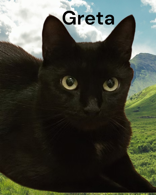 Greta