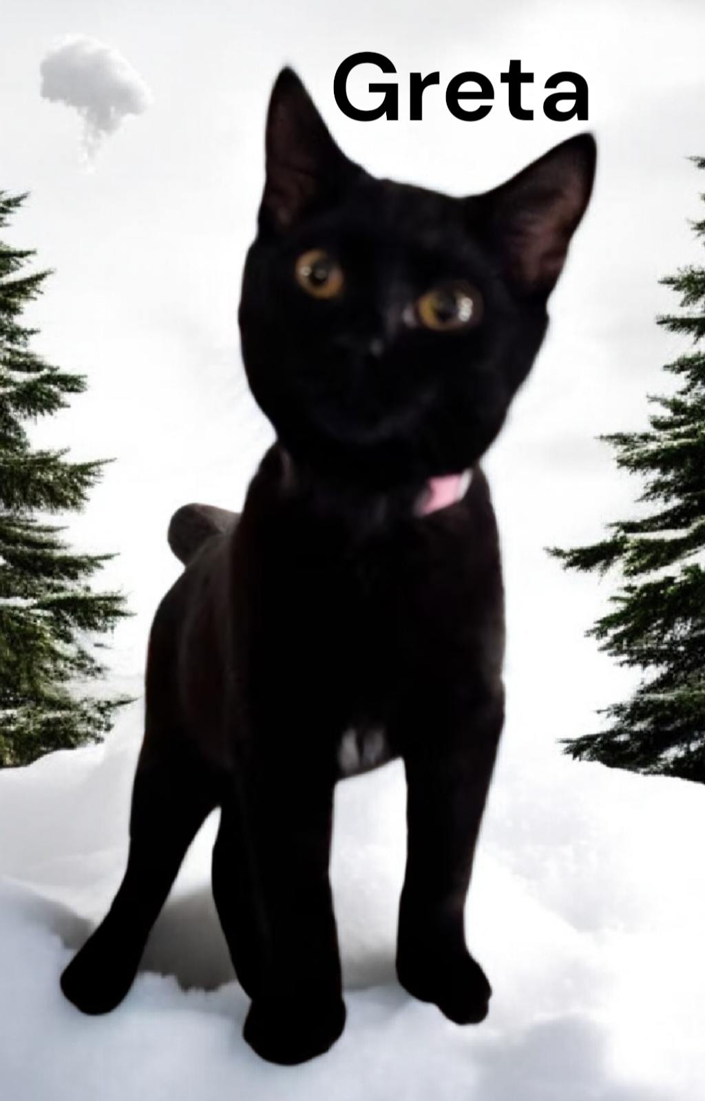 Greta