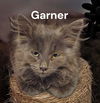 Garner