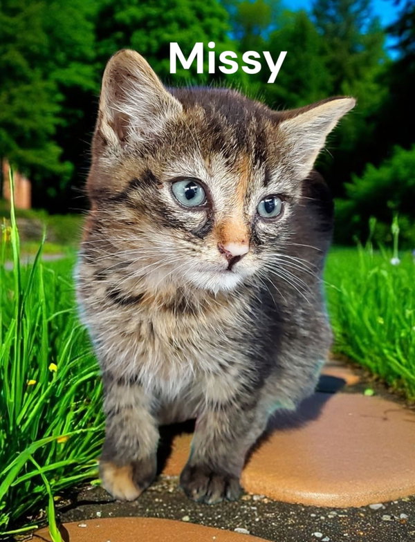 Missy
