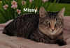 Missy
