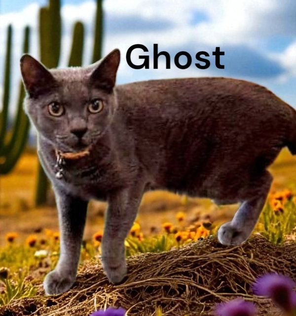 Ghost