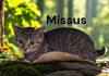 Missus
