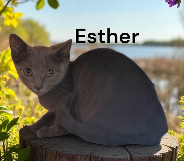 Esther