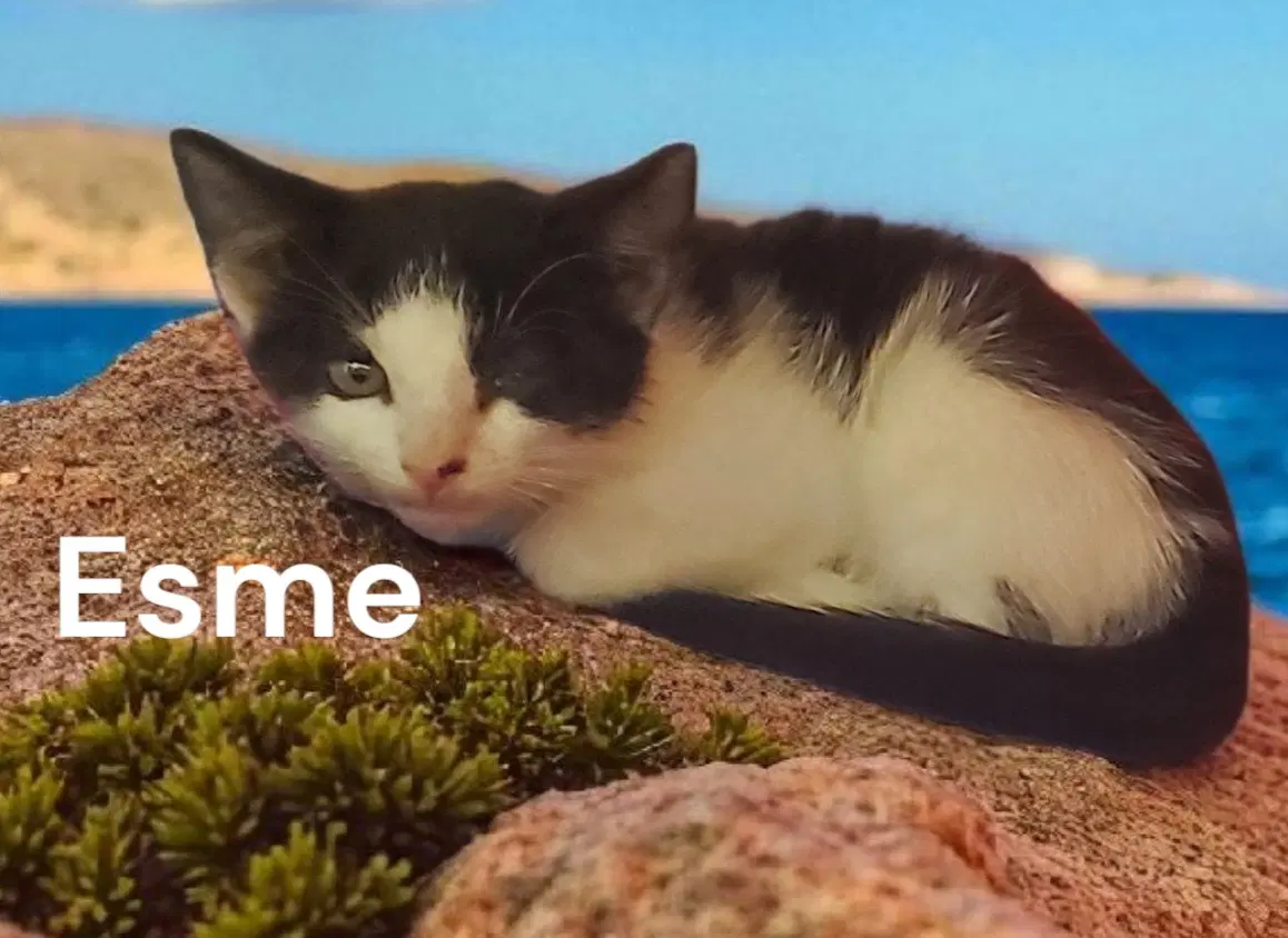 Esme image 3