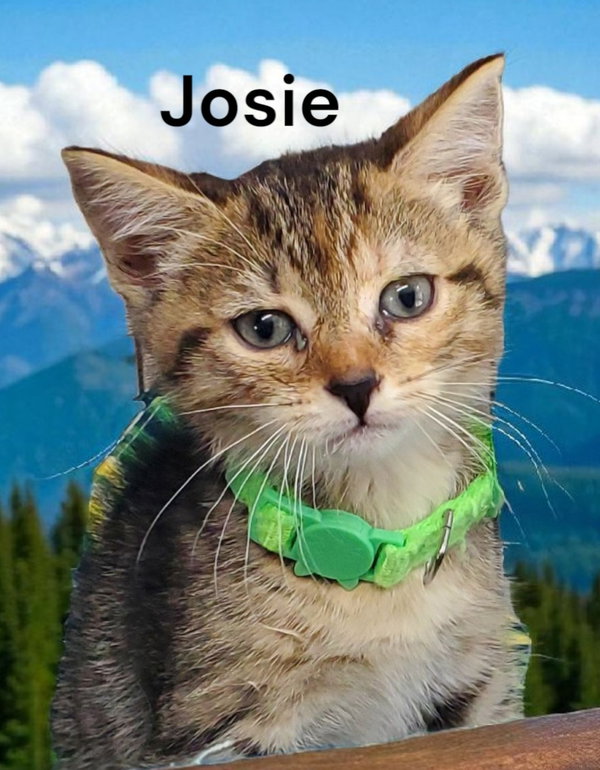 Josie